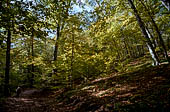 la Riserva Naturale di Monte Rufeno, Acquapendente.